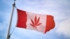 Steagul canadian cu o frunză de cannabis pe el...