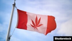 Steagul canadian cu o frunză de cannabis pe el...