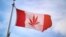 Steagul canadian cu o frunză de cannabis pe el...