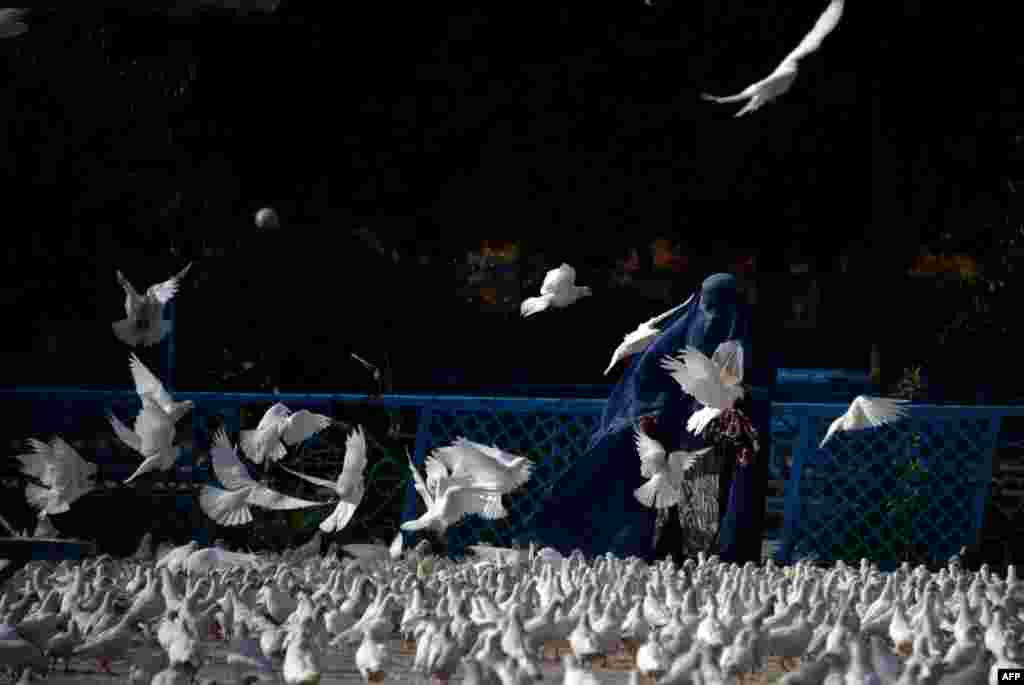 An Afghan woman feeds the pigeons after offering prayers at the start of the Eid al-Fitr holiday, which marks the end of Ramadan, in front of the Hazrat-i- Ali shrine in Mazar-e Sharif. (AFP/Farshad Usyan)