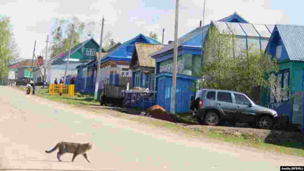 Күки авылында йомырка җыю йоласы 