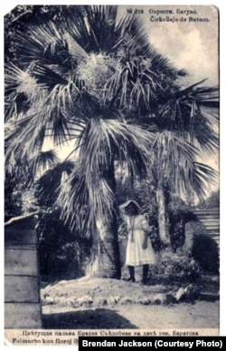 1919 წელს ბათუმიდან ინგლისში გაგზავნილი ღია ბარათი