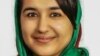 "څومره چې افغان ژورنالستان مسلکي کیږي هغومره ورته ګواښونه زیاتیږي"