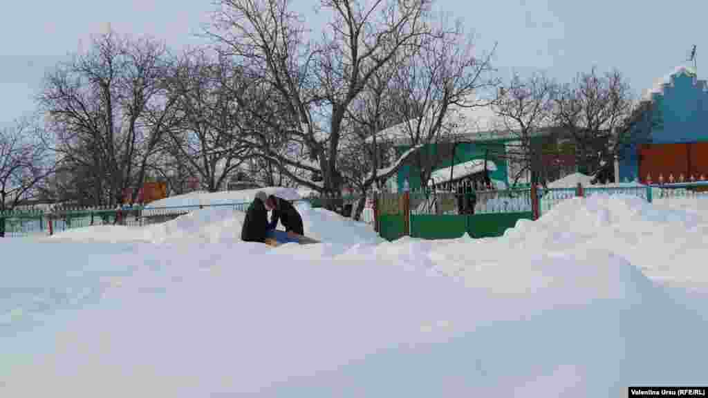 Cernoleuca, Donduseni