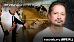 Эканамічны аглядальнік Сяргей Чалы, Аляксандар Лукашэнка. Ілюстрацыйны каляж 