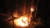 Лесной пожар в Карелии (архивное фото) 