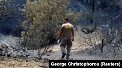 Muškarac hoda među vatrom opustošenim delovima sela Ora, u rejonu grada Larnaka na Kipru, jutro nakon što je požar stavljen pod kontrolu 4. jula 2021.