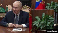 Președintele rus Vladimir Putin în biroul său de la Kremlin. Încadrarea arată planta aglaonema, aflată lângă steagul din spatele său. 