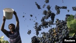 В целом эксперты признают большой потенциал аграрного сектора Грузии. Хороший климат способствует тому, чтобы осуществлять экспорт фруктов в летнее время, а зимой – овощных культур. Однако на развитие отрасли потребуется немало времени и средств