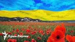 Кадры, выборы, реестры: что нужно для восстановления деоккупированного Крыма | Радио Крым.Реалии