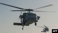 ABŞ dikuçarlary. Arhiw fotosy