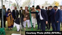 رئیس جمهوری افغانستان به پیشواز از بهار یک نهال در محوطه ارگ ریاست جمهوری غرس کرد