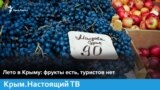 Лето в Крыму: фрукты есть, туристов нет | Крым.Настоящий ТВ (видео)