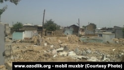 Шаҳрисабзни ободонлаштириш мақсадида кесиб ташланган дарахтлар ўрнига янгиларини ўтқазиш ҚФЙларга юкланди.