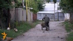 Нарушители „границы“