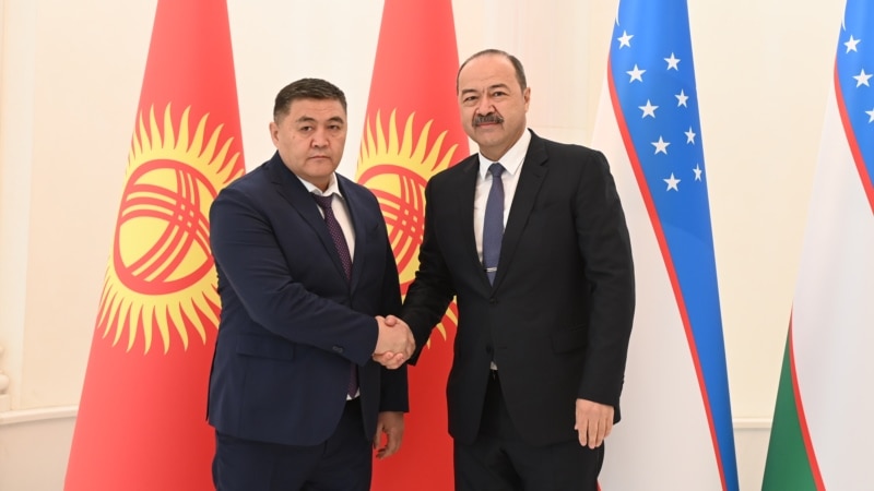 Кыргызстан и Узбекистан заявили о планах подготовки договора об отдельных участках госграницы