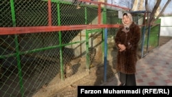 Мадина Давлатова