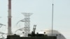 An anti aircraft gun is seen in front of the reactor building of the Bushehr nuclear power plant, February 26, 2018