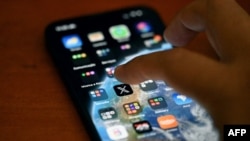 کمی پس از حذف تیک آبی از حساب گروهی از مقامات ایران، شمار زیادی حساب جعلی با محتوای طنزآلود برای این افراد و رسانه‌ها در شبکه‌های اجتماعی درست و فعال شده است