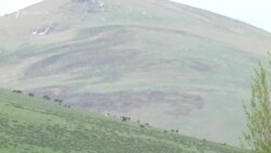 «Իմ քայլում» հուսով են, թե դաշնակիցները դեռ կարձագանքեն ՀՀ սահմաններին ստեղծված իրավիճակին