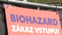 Як зрабіць карантын для бяздомных? Вось што прыдумалі ў Чэхіі