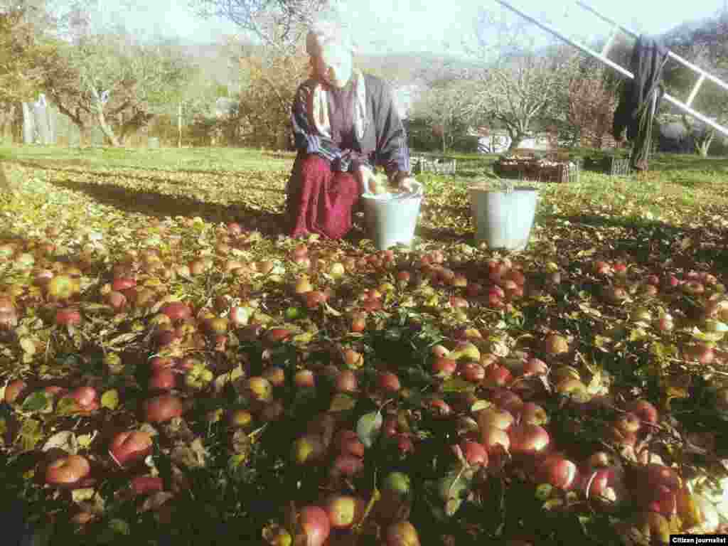 Тхан бешахь&nbsp;Iежаш ду... 