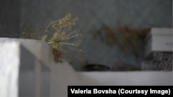 Дім Віри на Дніпропетровщині