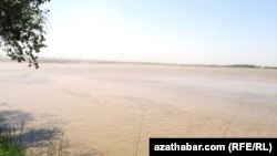 Amyderýa, Türkmenabat