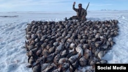 Investigators said at the time that the damage caused by Aleksandr Kramarenko's alleged poaching of rare geese had been estimated to be around 700,000 rubles ($9,400).