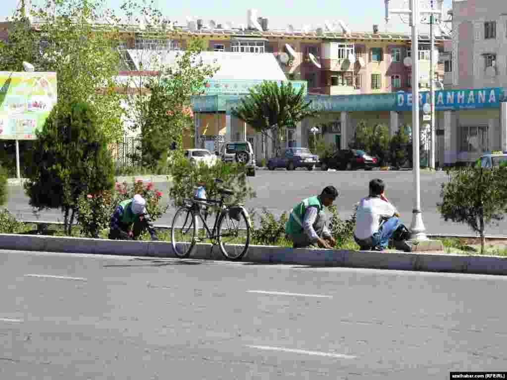 Köçe arassalaýjylar