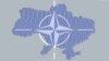 Прикарпатські депутати виступають за вступ України до НАТО