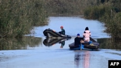 Bărci ale Gărzii Civile din El Palmar, în parcul național Albufera, regiunea Valencia, în căutare de persoane date dispărute, la 5 noiembrie. 