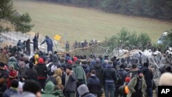 Мигранты штурмуют забор на границе Польши и Беларуси с белорусской стороны. Район Гродно, 8 ноября 2021 года