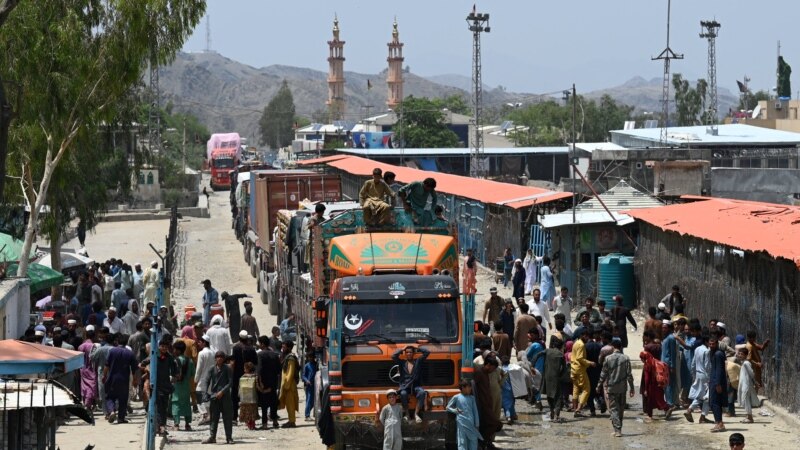 الکوزی: پاکستان هرکال د مېوو صادراتو پر وړاندې ستونزې جوړوي