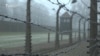 Seventy-Five Years After Liberation Of Auschwitz, Naming The Dead Still Proving Elusive