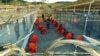 Guantanamo Inmates Attack U.S. Guards