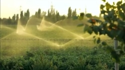 OzodNews: ЮНЕСКО ҳимоясидаги Гўри Амир мақбарасида қурилиш ишлари олиб борилаётгани норозилик туғдирмоқда