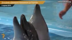 Донецьких дельфінів евакуювали до Харкова