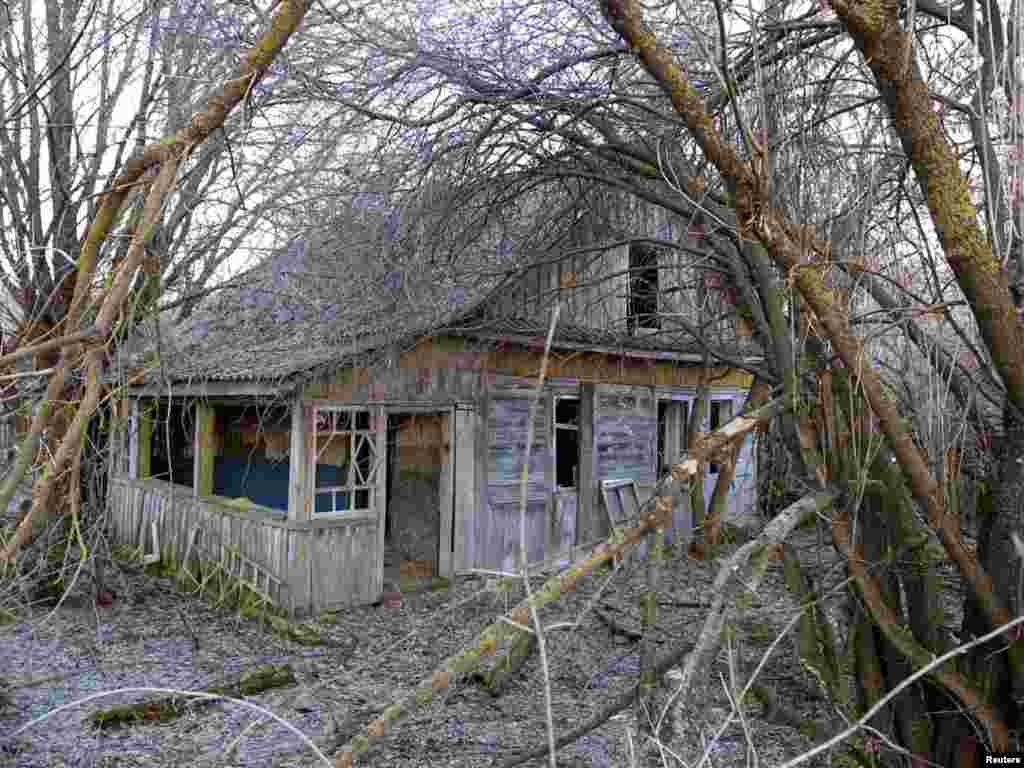 A ruined house is seen in the abandoned village of Vorotets, near the 30-kilometer exclusion zone around the Chornobyl nuclear reactor on March 17. Belarus, Ukraine and Russia will mark the 25th anniversary of the nuclear reactor explosion in Chornobyl, the place where the world's worst civil nuclear accident took place, on April 26. Photo by Vasily Fedosenko for Reuters