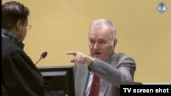 Ratko Mladić u sudnici Haškog tribunala 19. marta 2014. 