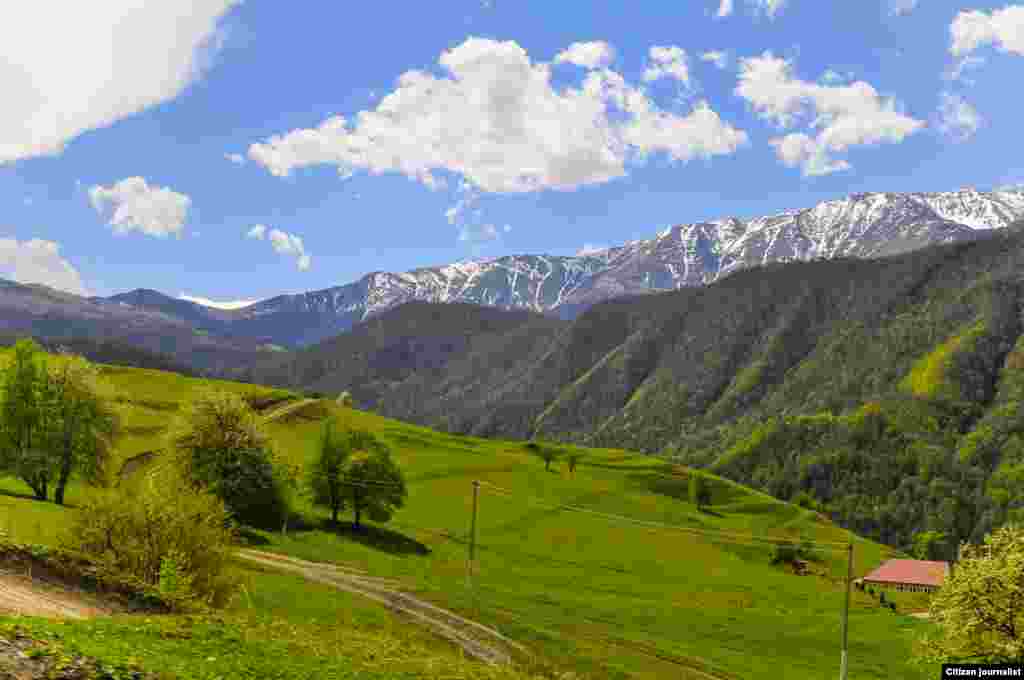 Даймохк. Мохьмадан сурт. 