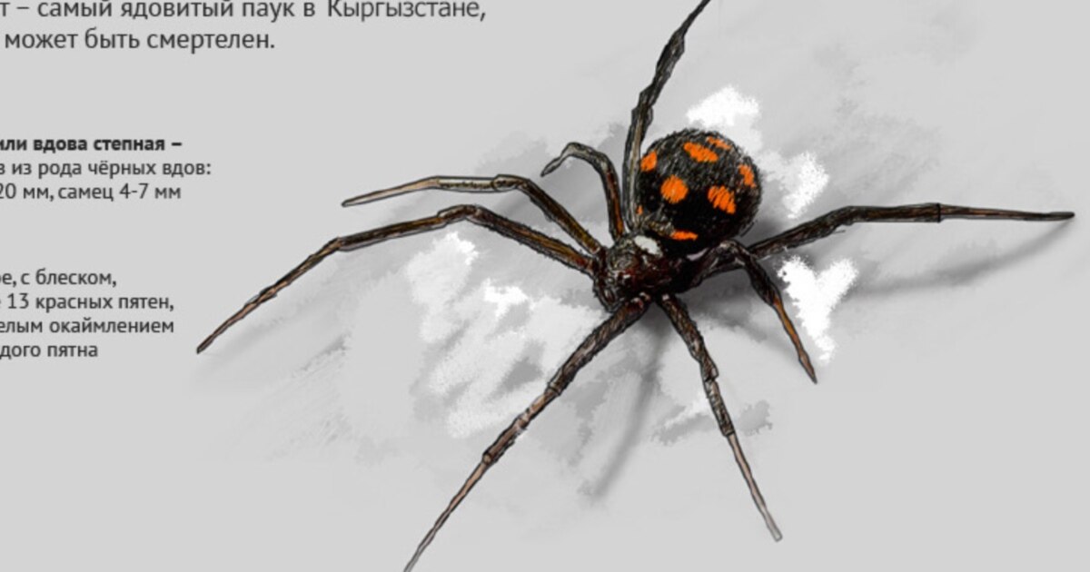 Балапан қатты трафиктенеді (GIF) Порно дәрігер ұйықтатты