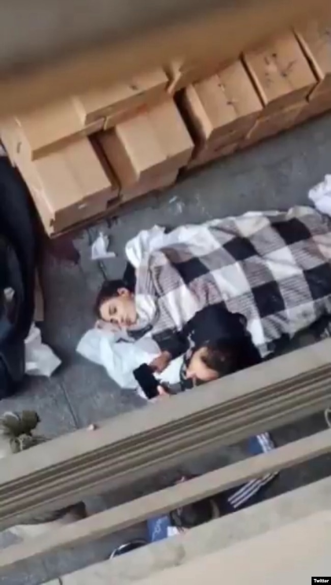 جسد آیدا عقیلی