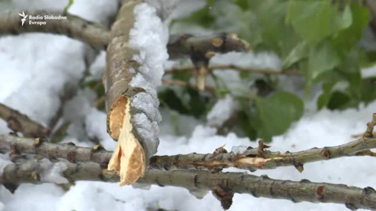 Aprilski Snijeg U BiH