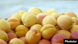 Apricots