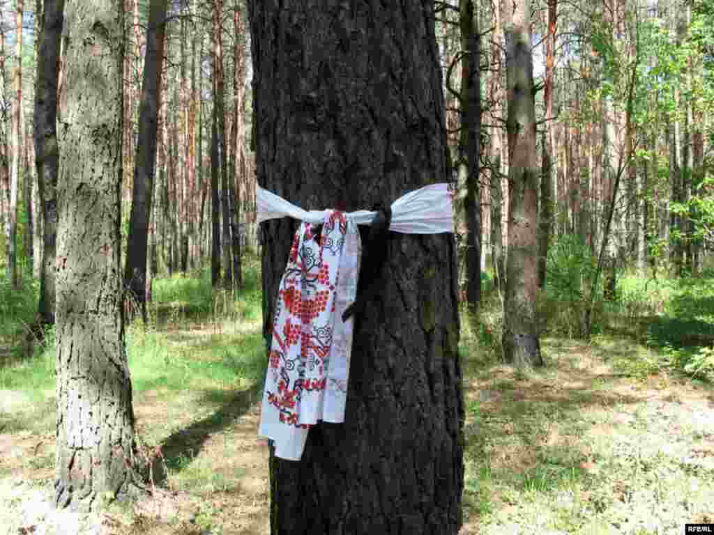 2008-ий у фотографіях, голосах і звуках #88