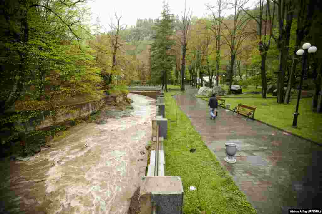 A river runs through the national park.