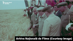 La Congresul al XIII-lea al Partidului Comunist Român, singurul cu existență legală în România socialistă, Nicolae Ceaușescu a inventat așa-zisa Revoluție Agrară, adică exploatarea intensivă și extensivă a pământurilor pentru ... export. Aici în vizită de lucru în juudețul Olt.