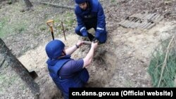 За даними ДСНС, знахідку виявили поблизу села Дібрівне Чернігівської області