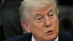 د امریکا ولسمشر ډونالډ ټرمپ 